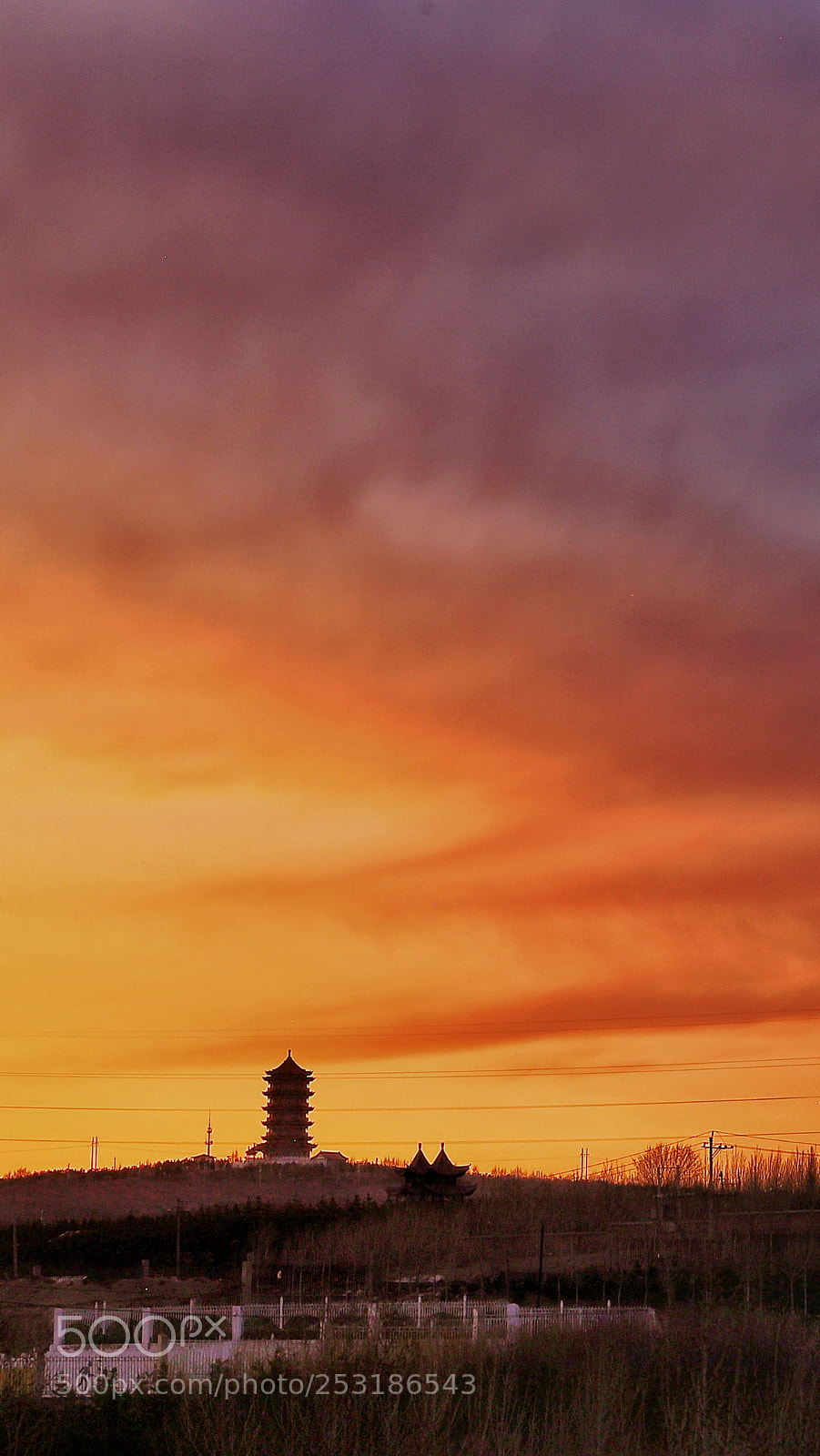 Canon EOS 6D Mark II sample photo. Untitled photography