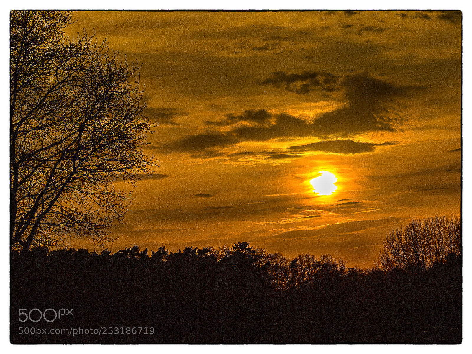 Canon EOS 700D (EOS Rebel T5i / EOS Kiss X7i) sample photo. Sonnen untergang am sandberg...sun photography