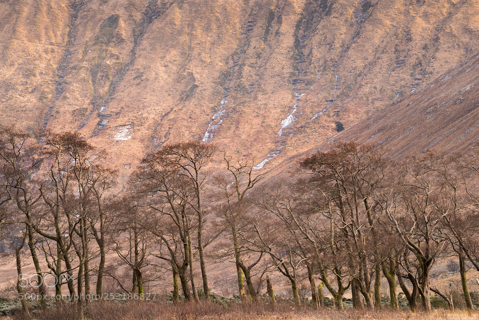 Nikon D810 sample photo. Glen etive and beinn photography