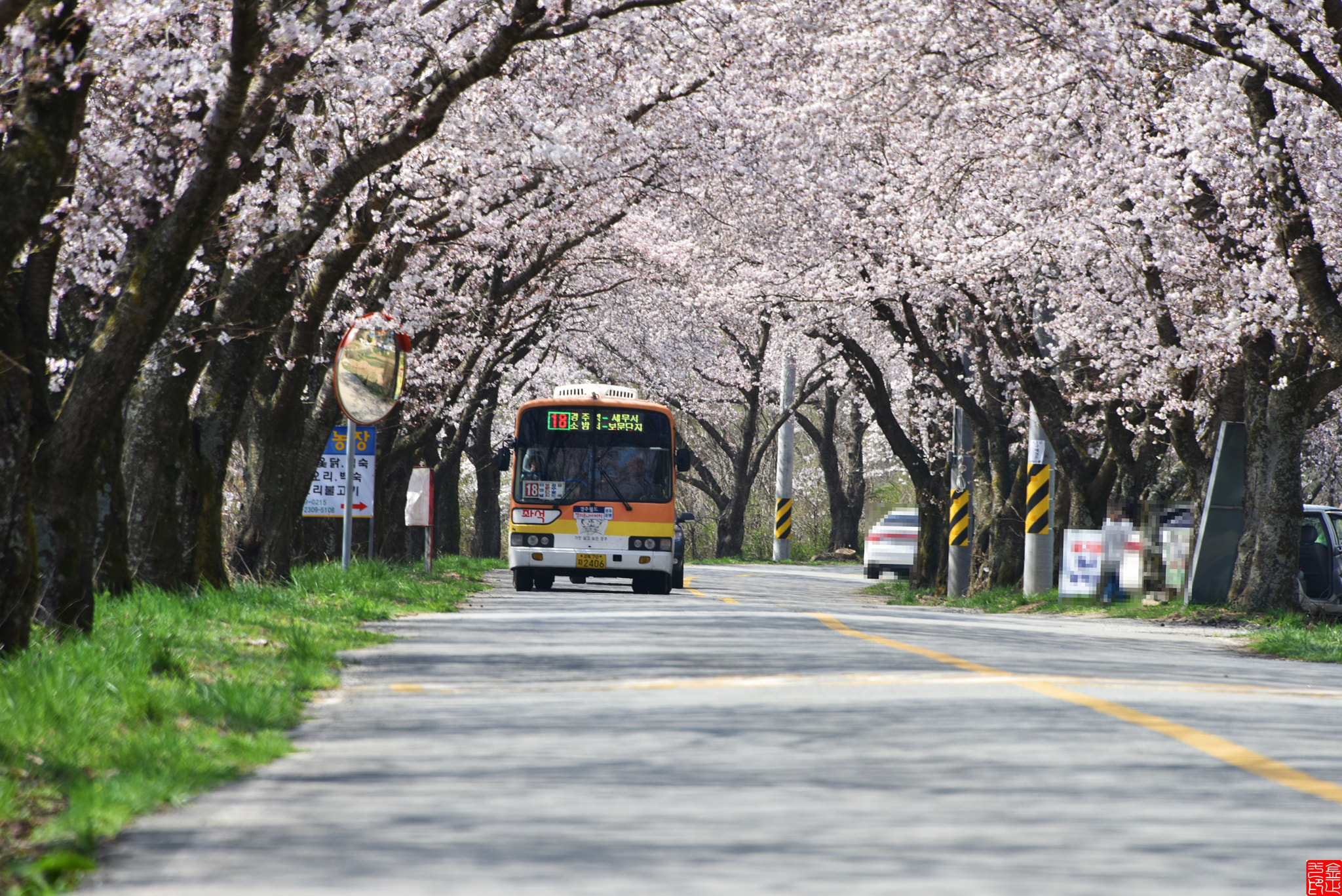 Nikon D810 sample photo. Spring photography