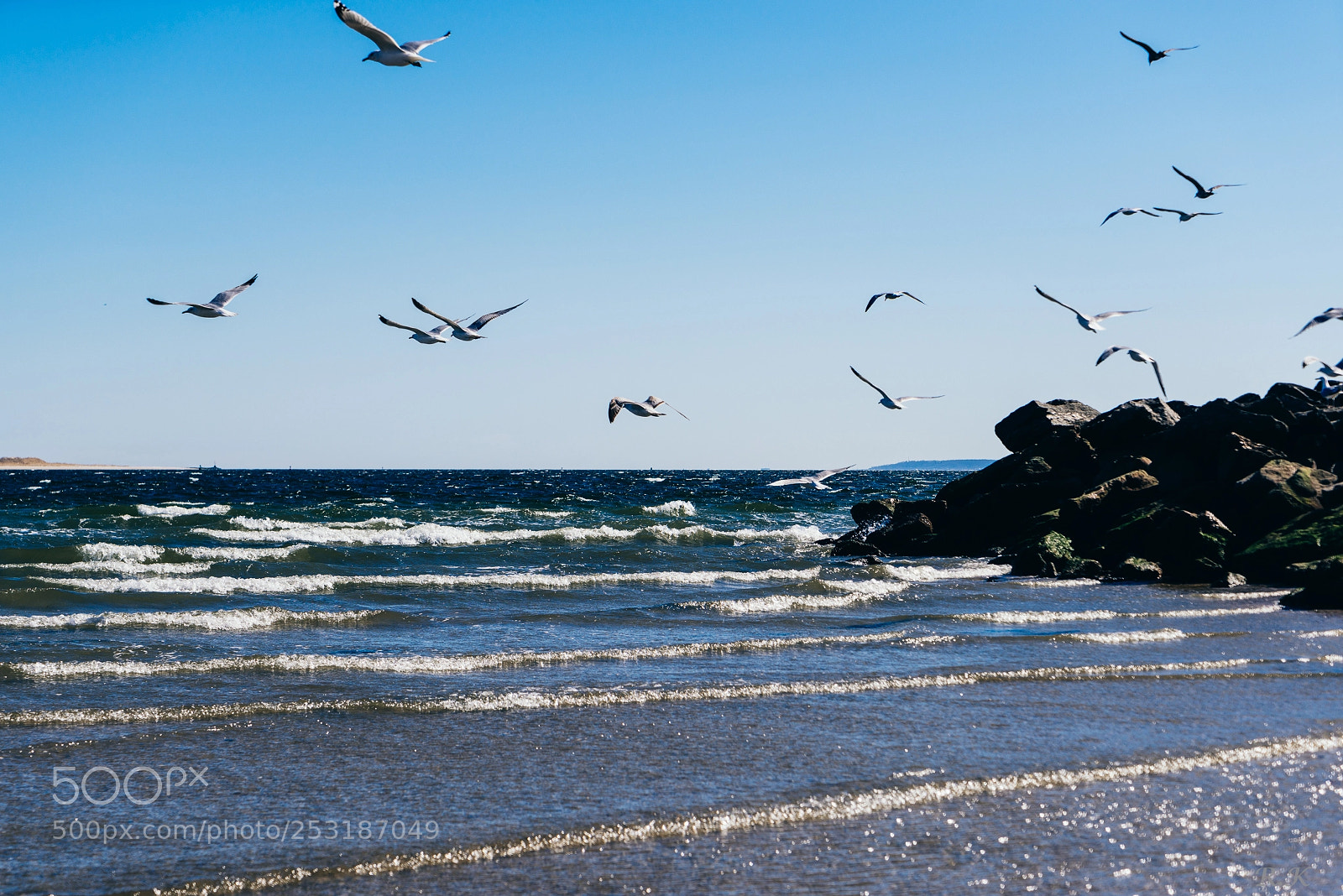 Sony a7R sample photo. Free your mind it photography