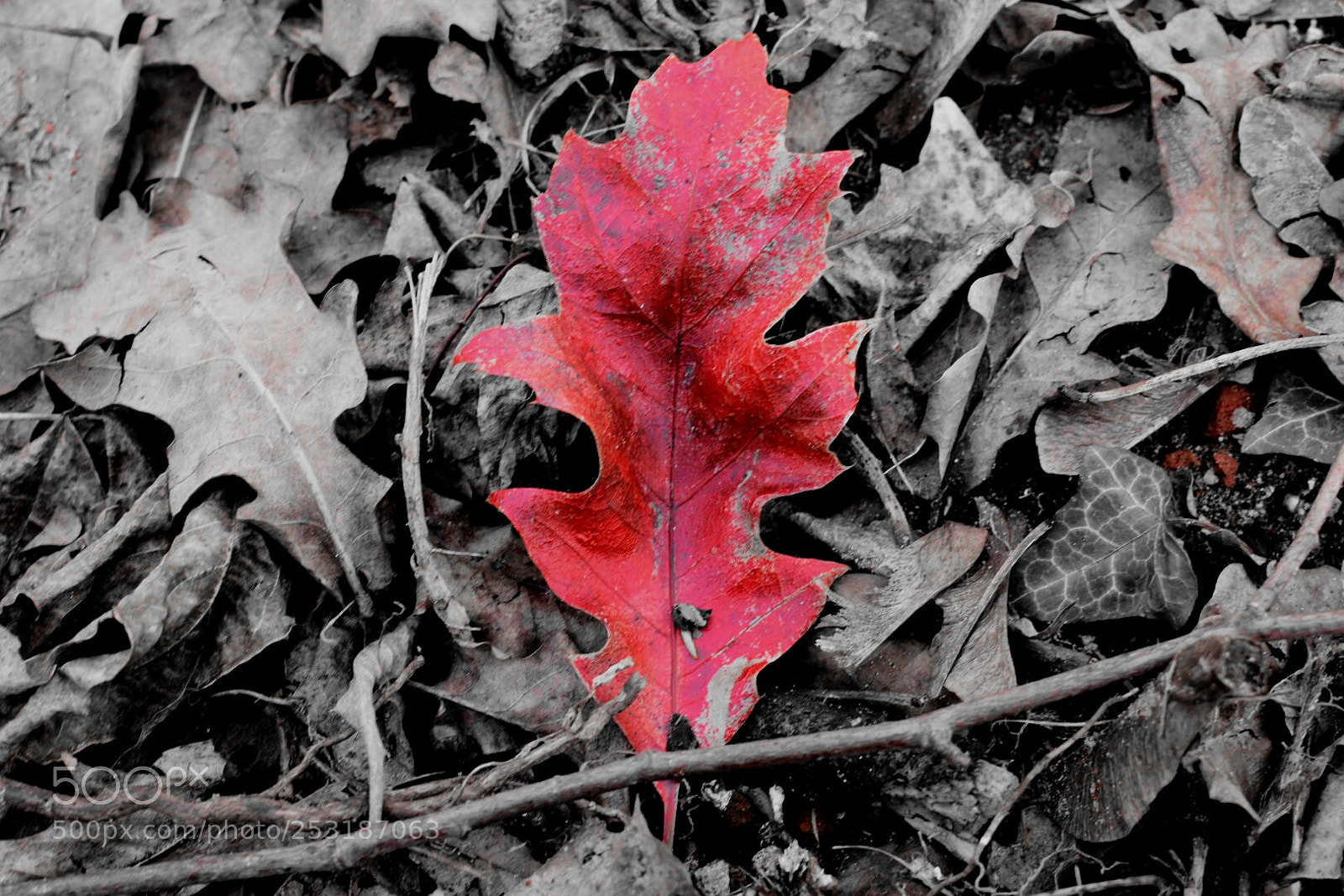 Nikon D3400 sample photo. Untitled photography