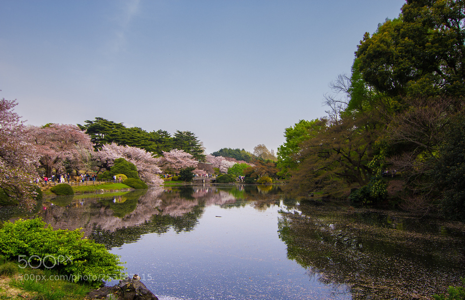 Canon EOS 60D sample photo. Tokyo sakura 18 photography