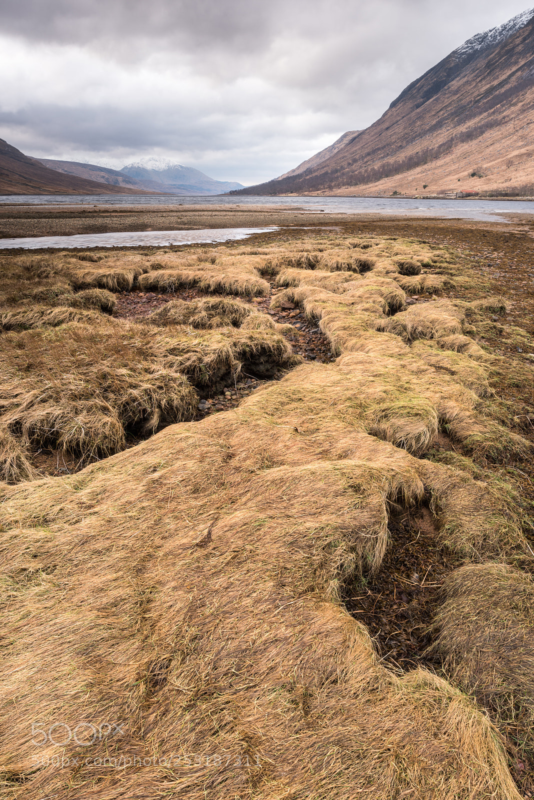 Nikon D810 sample photo. Loch etive marshes #2 photography