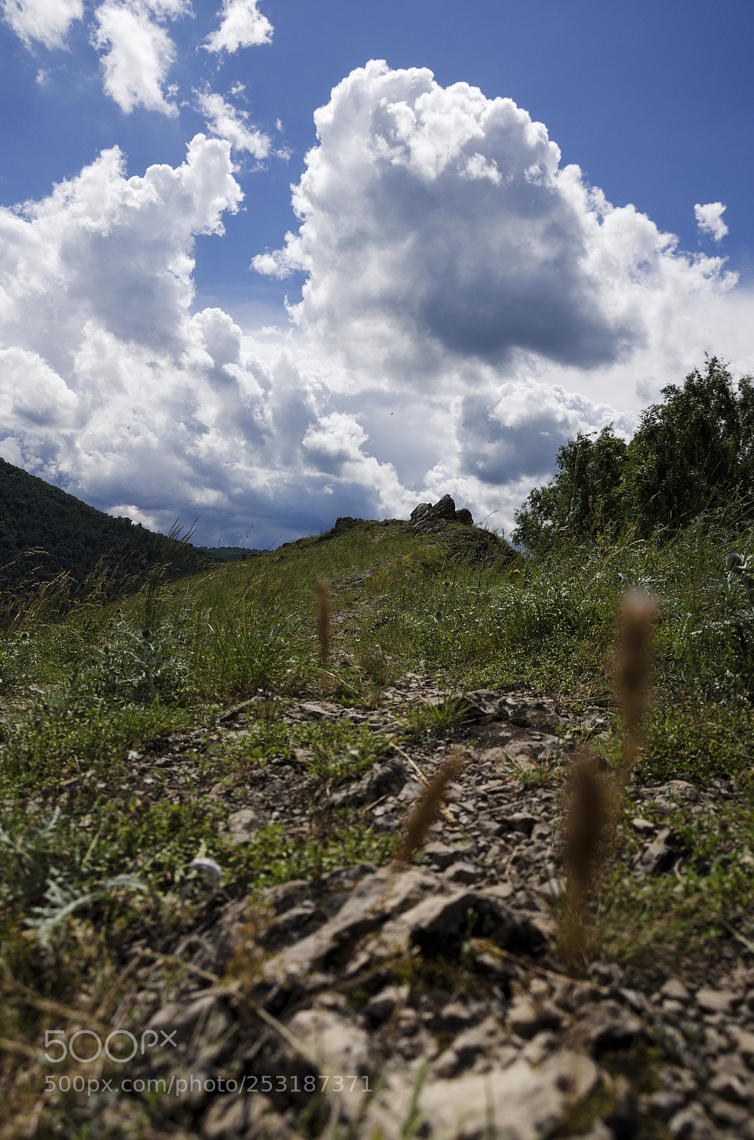 Nikon D5100 sample photo. Untitled photography