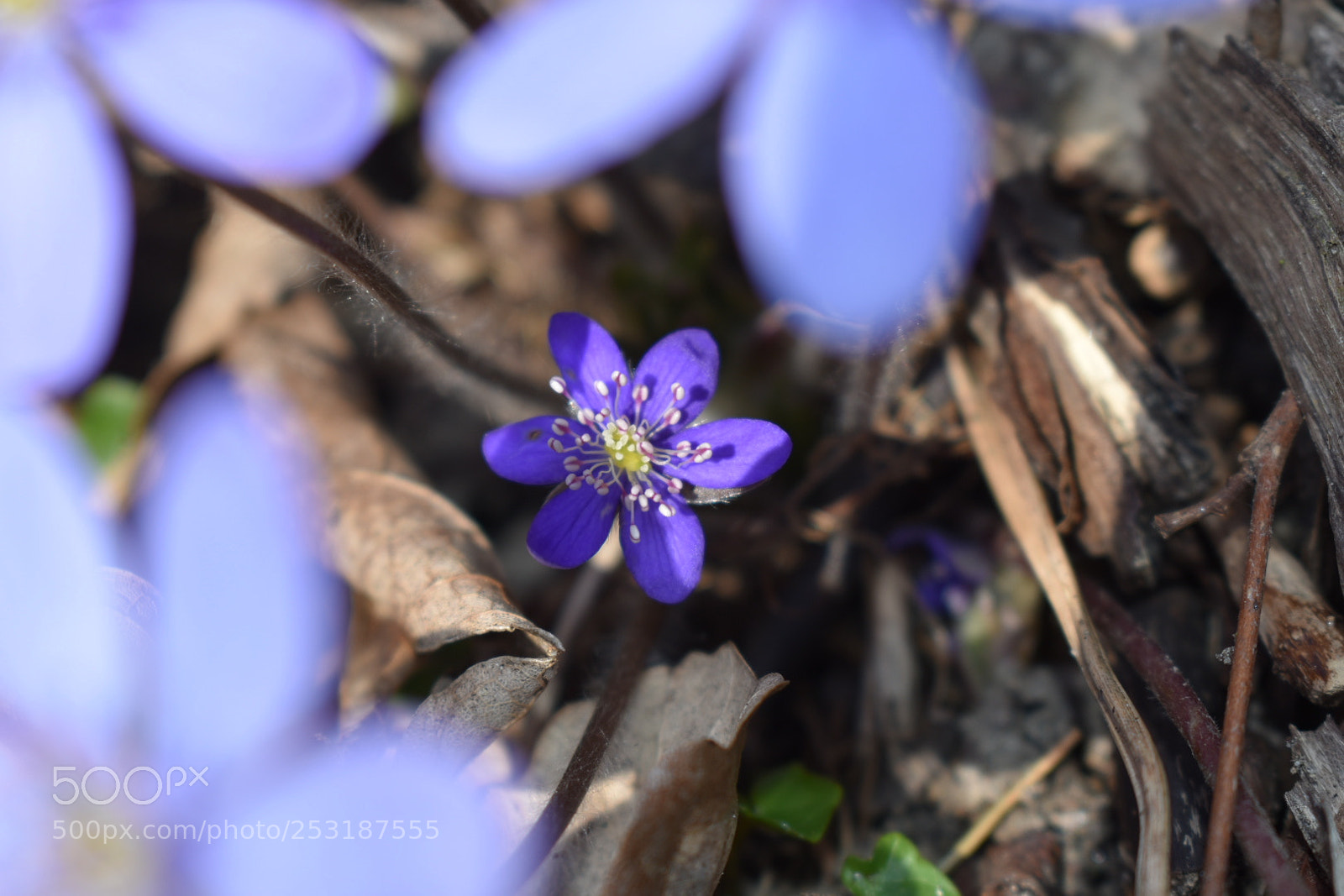 Nikon D3400 sample photo. Untitled photography
