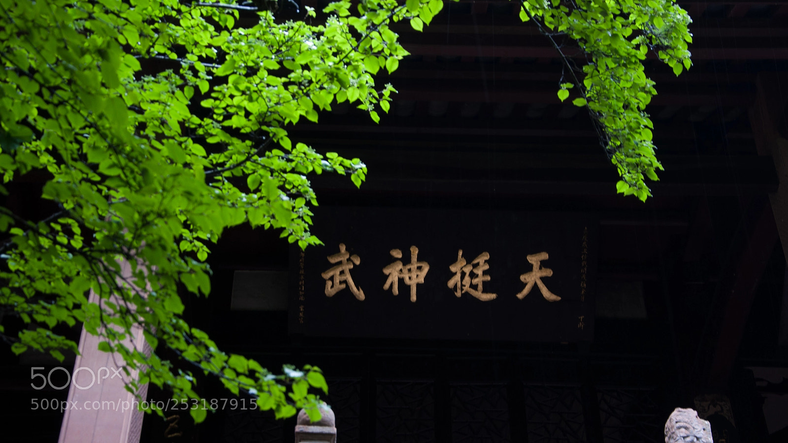 Nikon D90 sample photo. A taoist temple photography