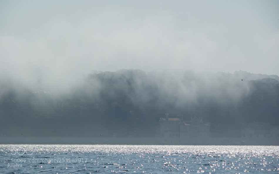 Samsung NX3000 sample photo. ... photography