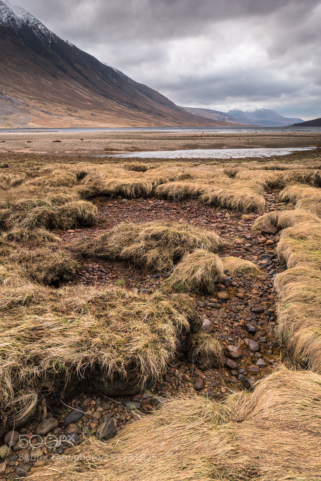 Nikon D810 sample photo. Loch etive marshes #3 photography