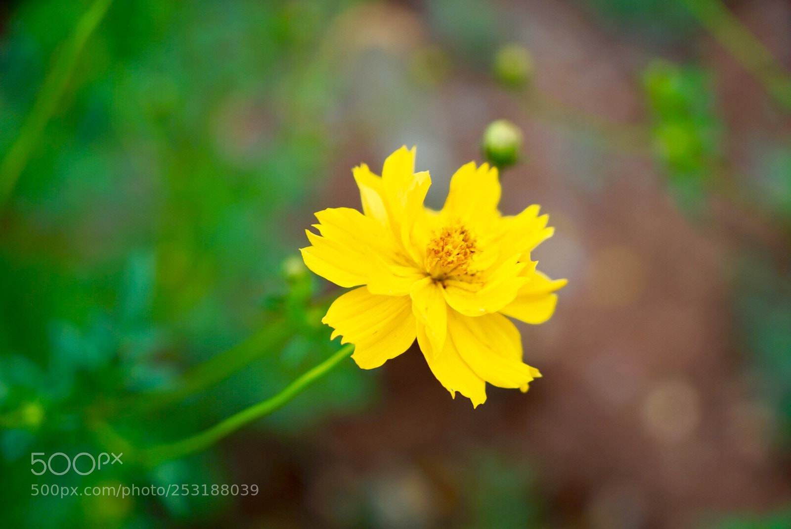 Sony a7 II sample photo. Untitled photography