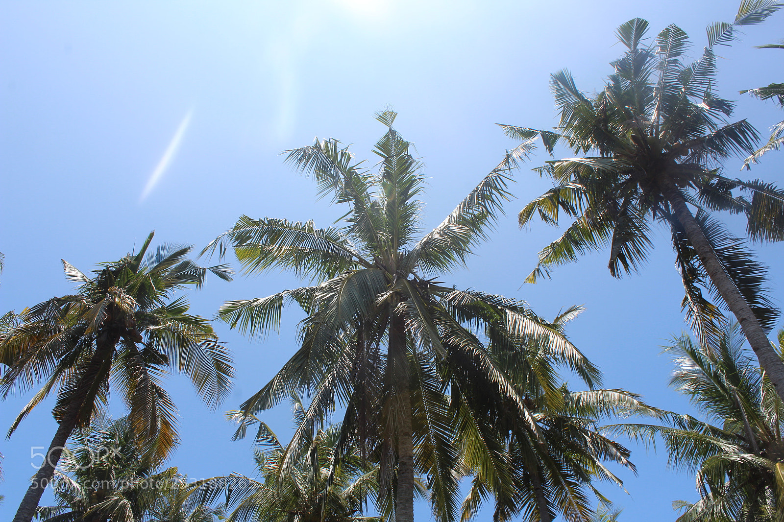 Canon EOS 1300D (EOS Rebel T6 / EOS Kiss X80) sample photo. Gili meno photography