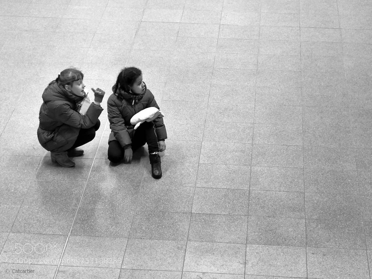 Panasonic Lumix DMC-LX100 sample photo. Curiosité partagée photography