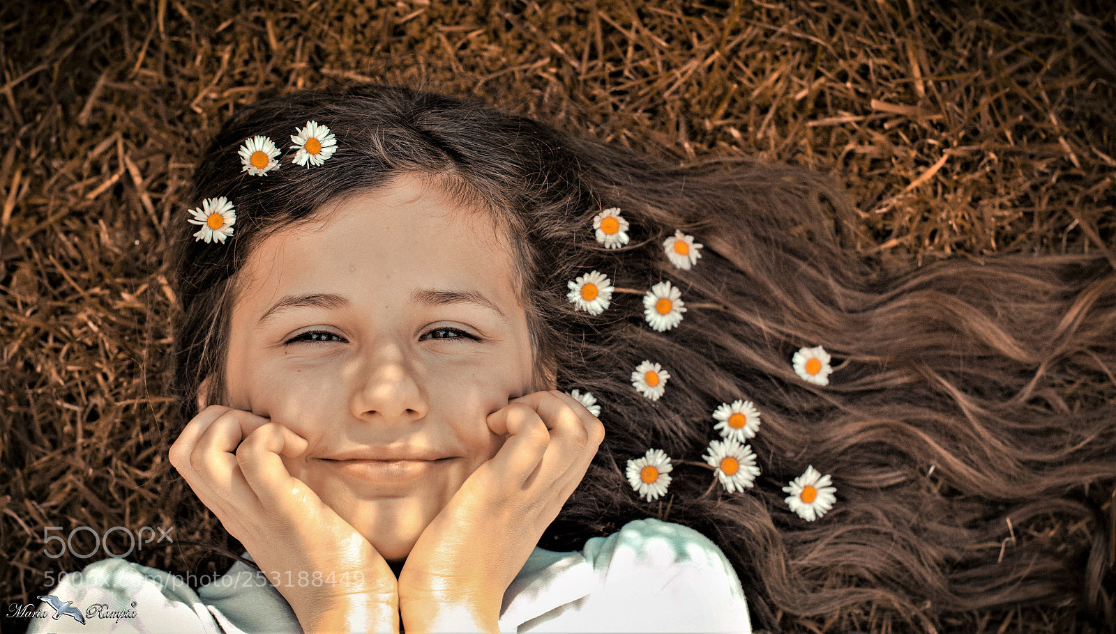 Canon EOS 70D sample photo. Daisies photography