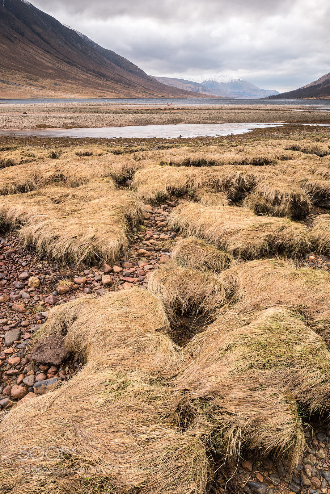 Nikon D810 sample photo. Loch etive marshes #4 photography