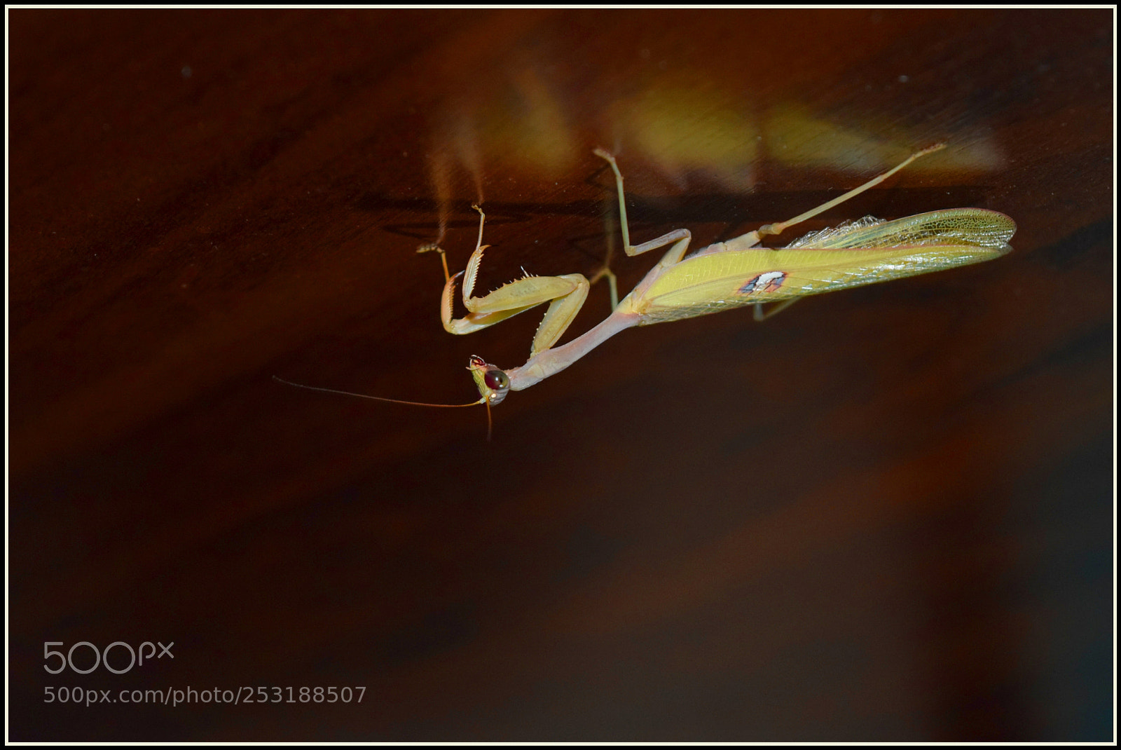 Nikon D5300 sample photo. ... photography