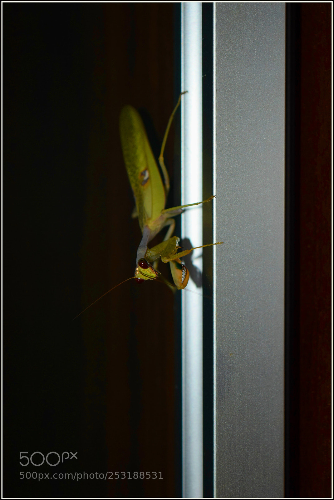 Nikon D5300 sample photo. ... photography