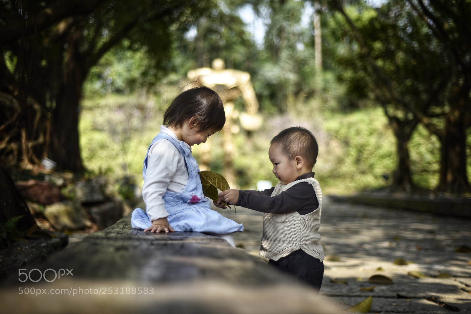 Nikon D810 sample photo. Untitled photography