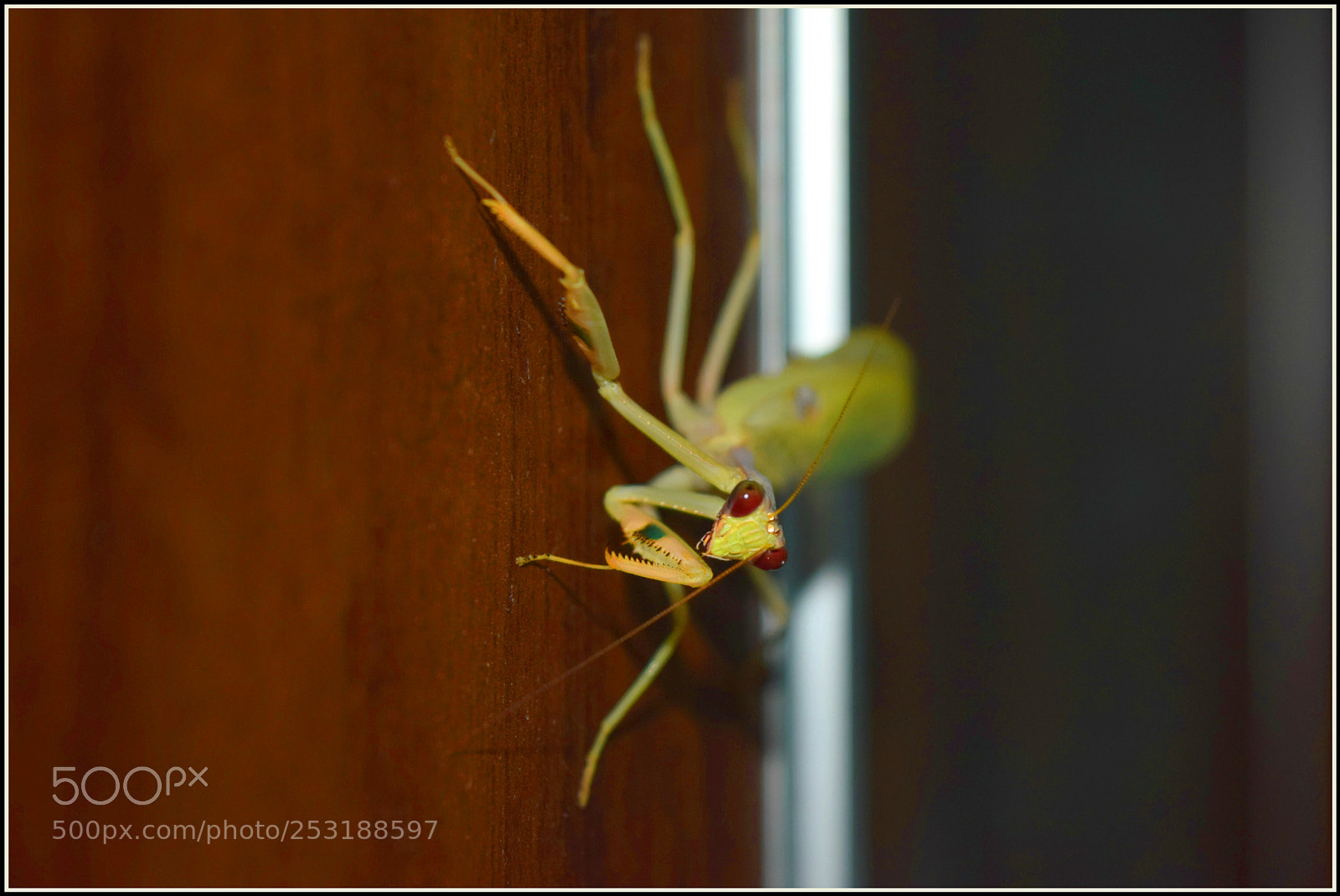 Nikon D5300 sample photo. ... ;-)" photography