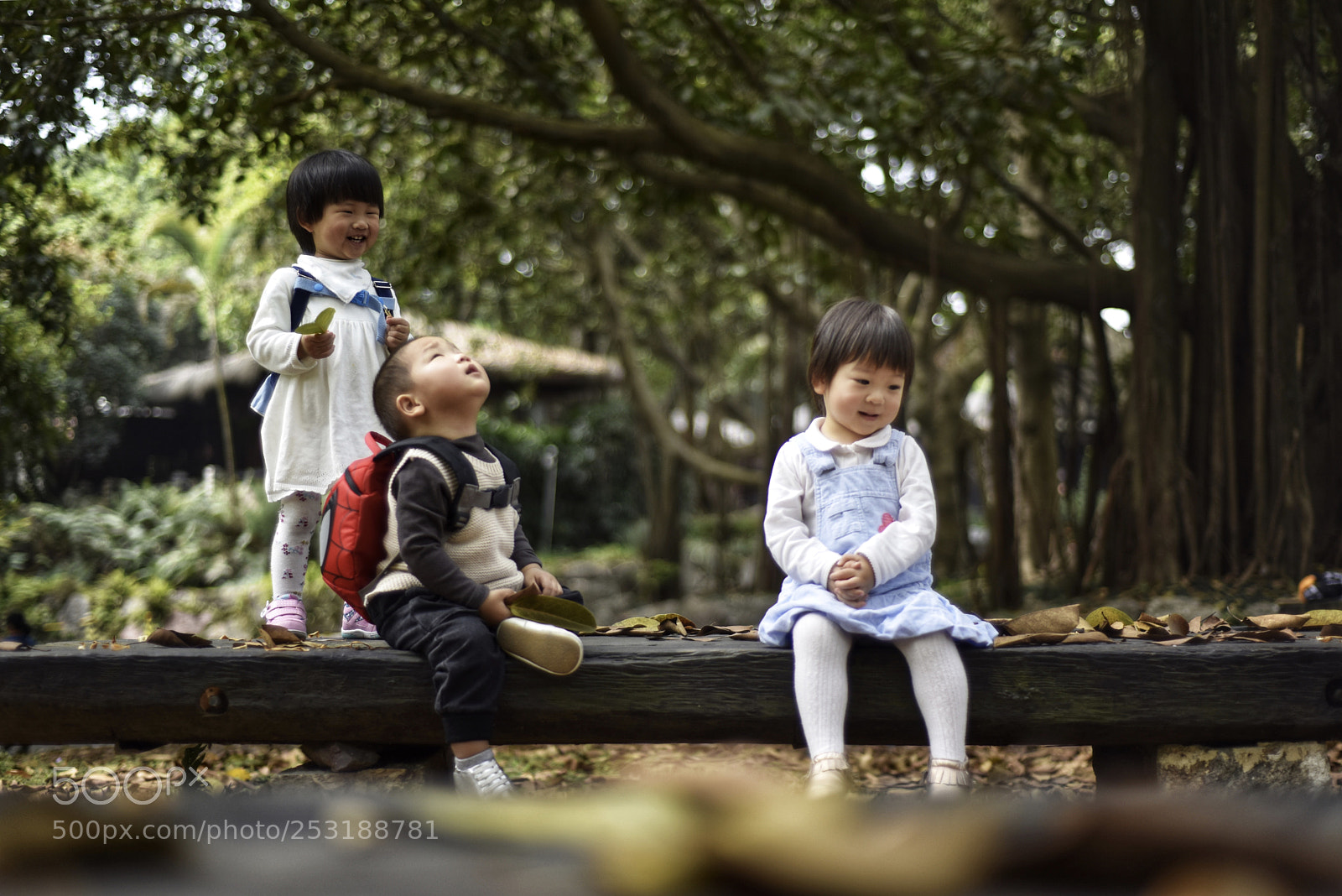 Nikon D810 sample photo. Untitled photography