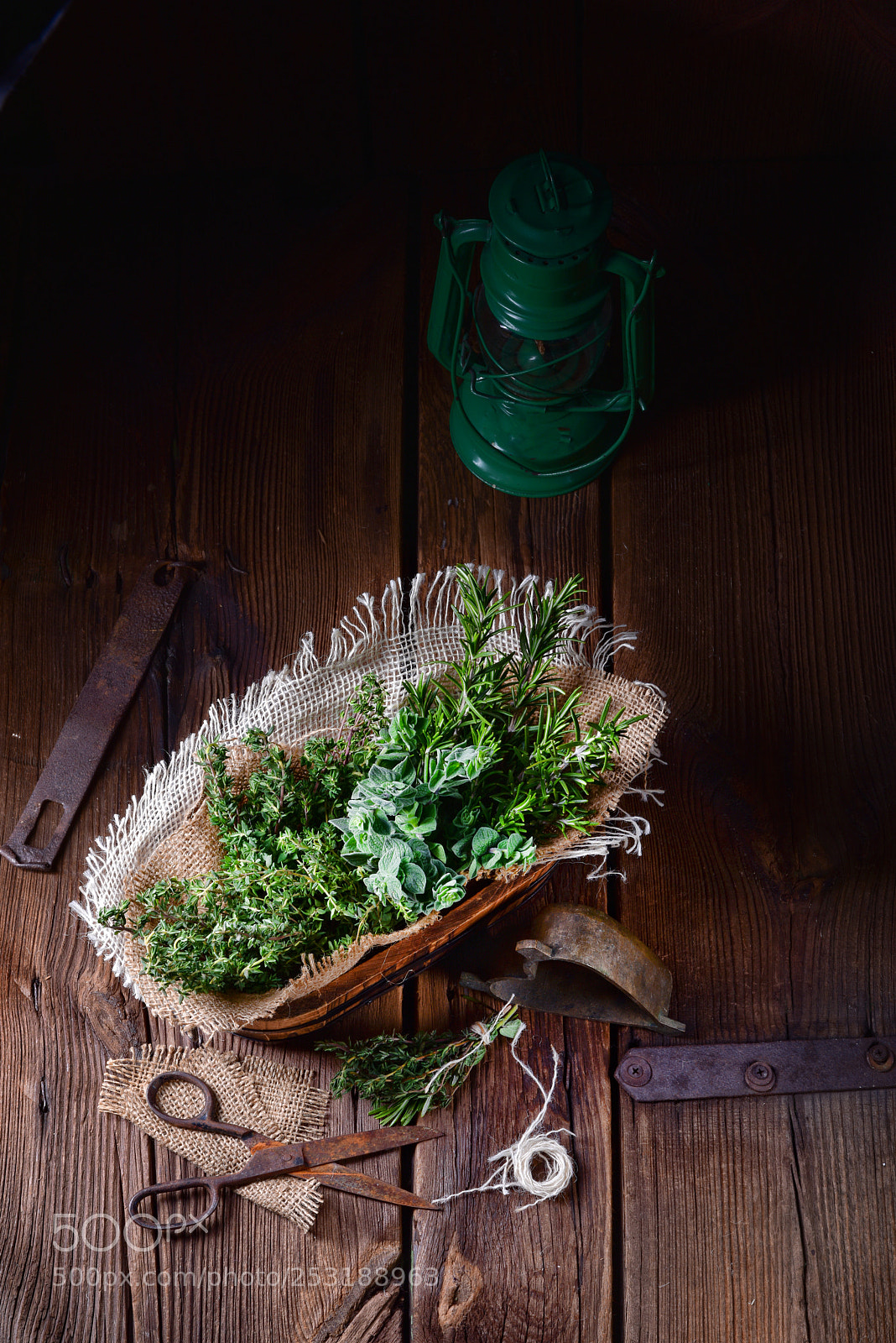 Nikon D810 sample photo. Herbal collection of thyme,oregano photography