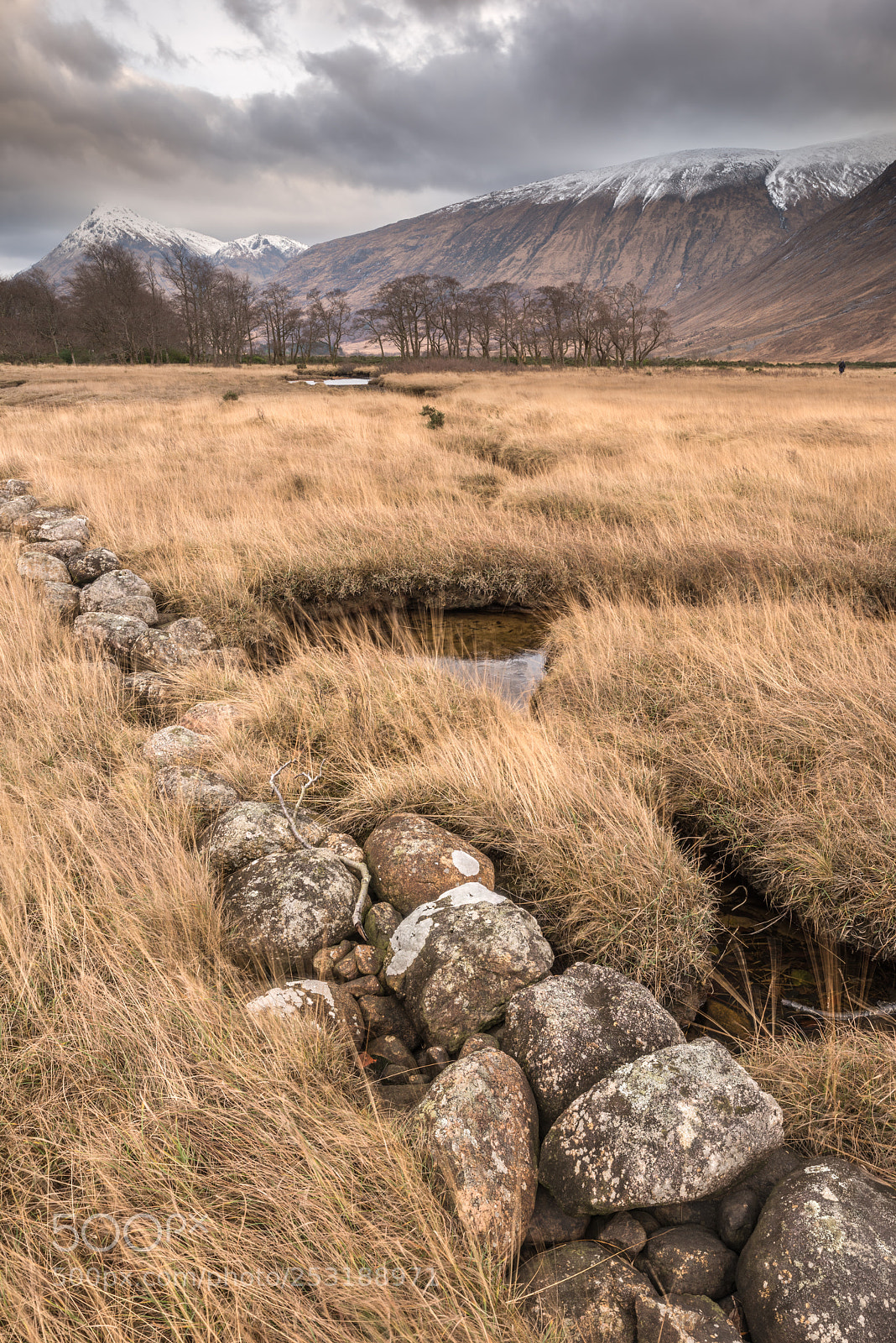 Nikon D810 sample photo. Loch etive marshes and photography