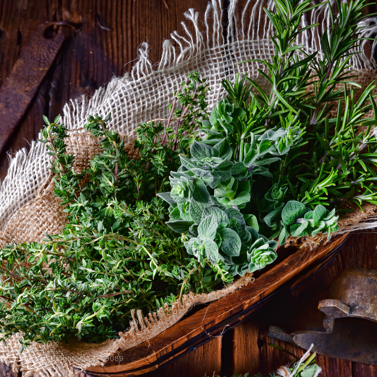 Nikon D810 sample photo. Herbal collection of thyme,oregano photography