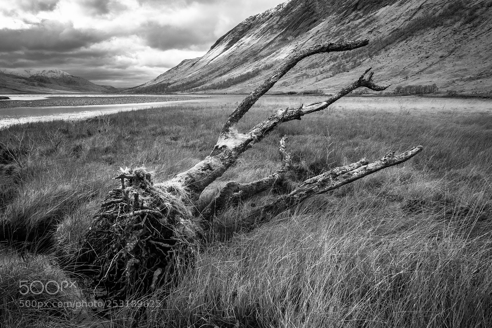 Nikon D700 sample photo. Loch etive photography
