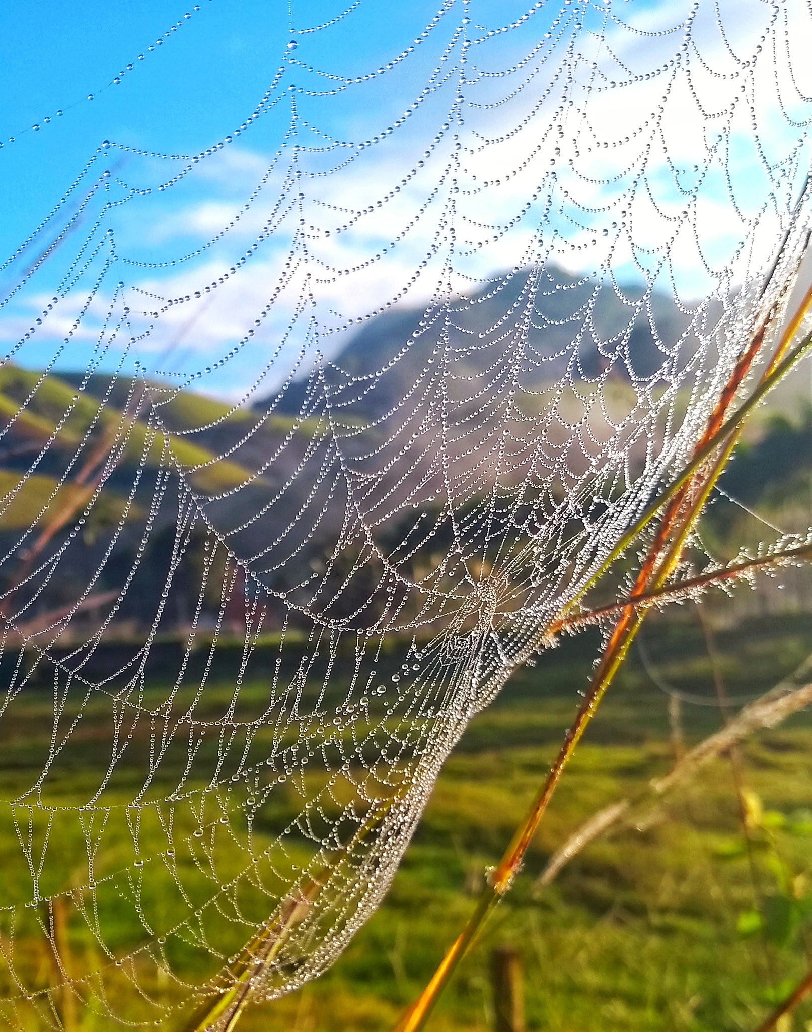 Motorola Moto G (5S) sample photo. The details are the key photography