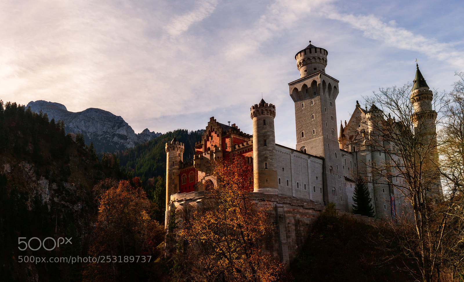 Nikon D800 sample photo. Neuschwanstein castle photography