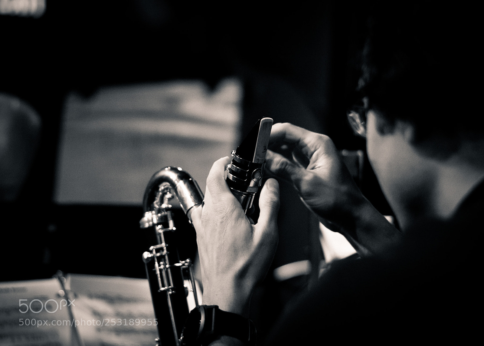 Nikon D7100 sample photo. Bo photography