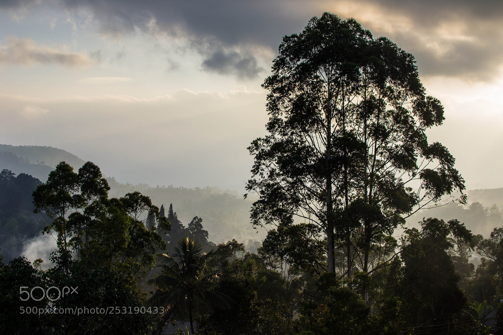 Nikon D3100 sample photo. Sunset on the jungle photography