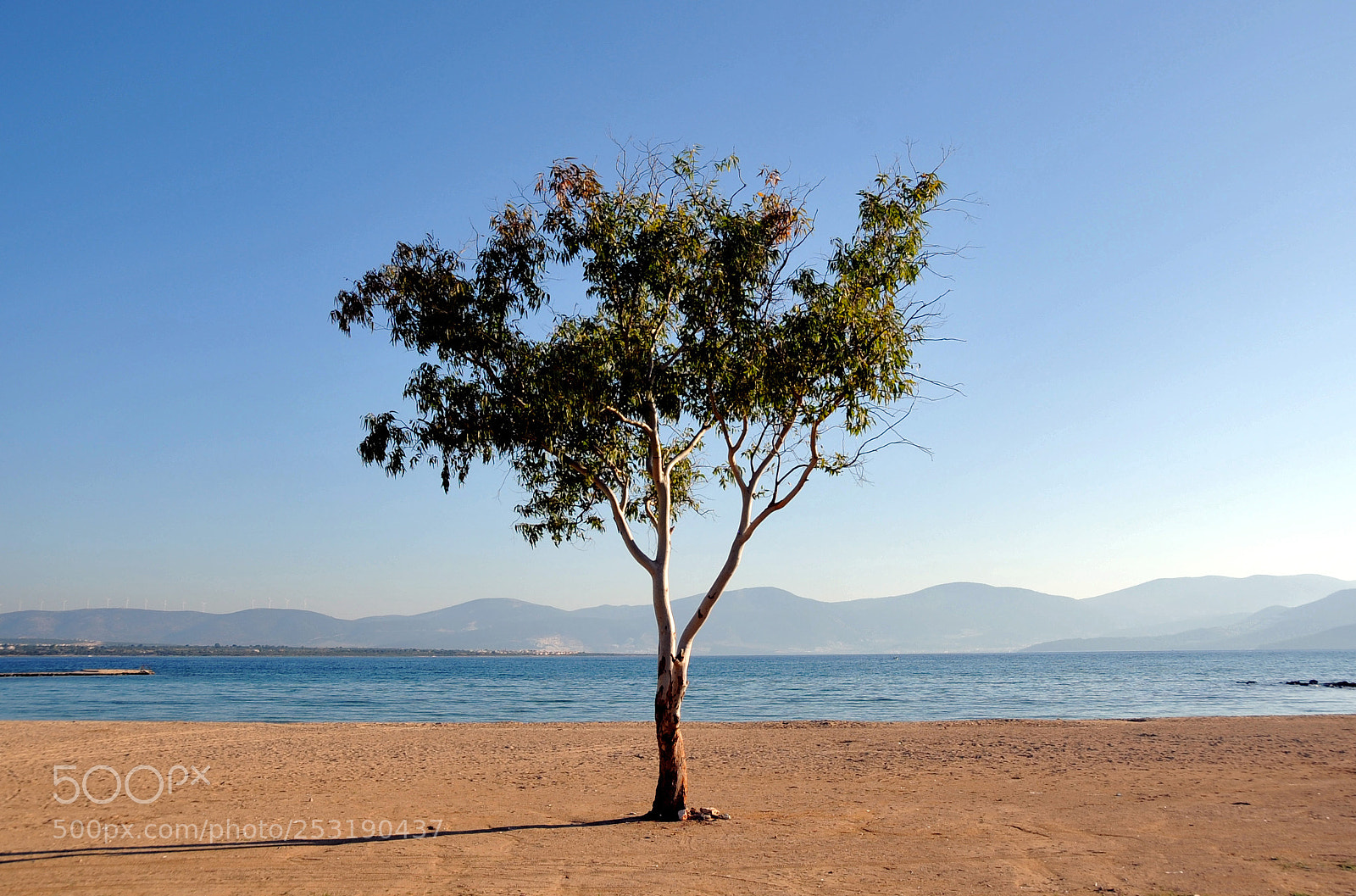 Nikon D700 sample photo. Near didim, turkey photography