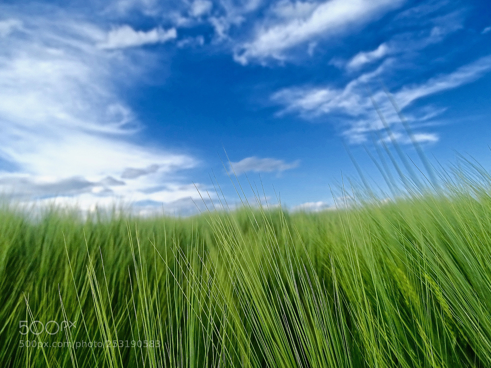 Sony Cyber-shot DSC-HX400V sample photo. ### photography