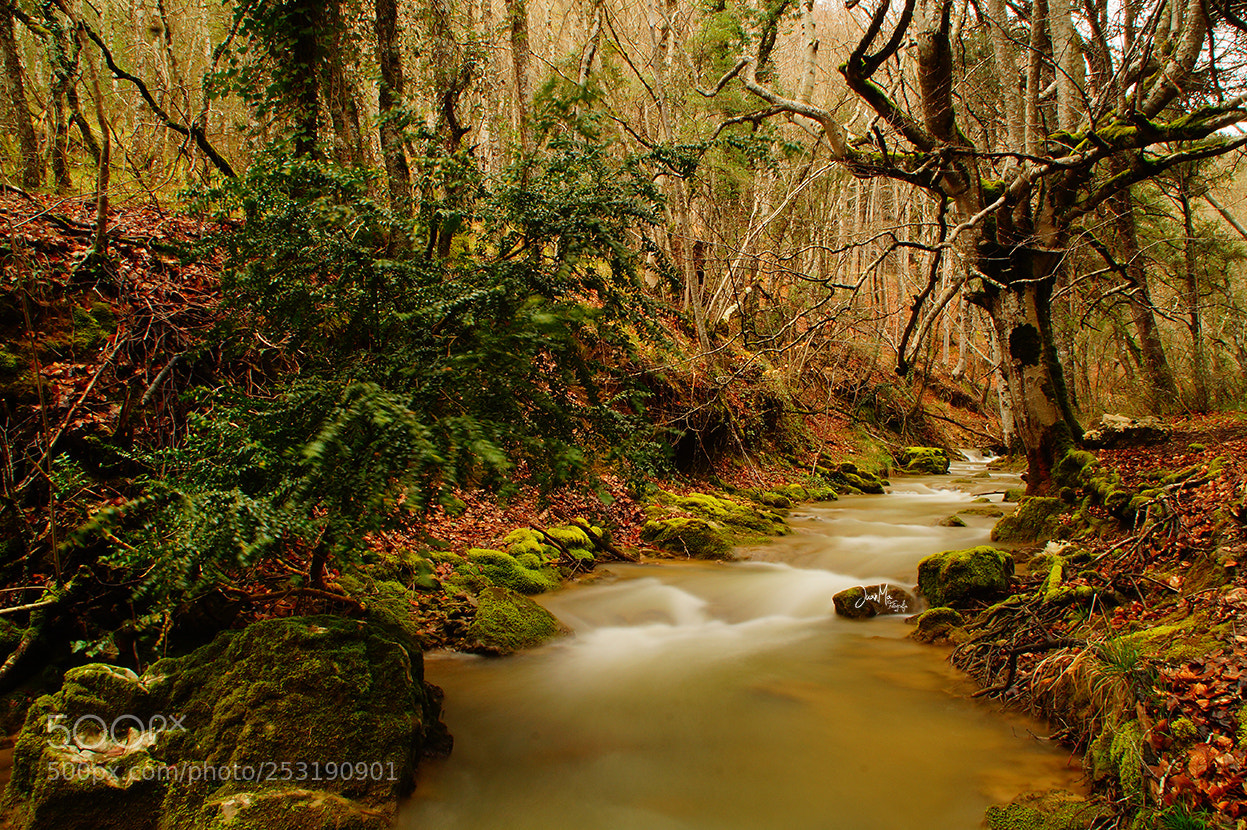 Sony SLT-A58 sample photo. R o sabando aguake photography