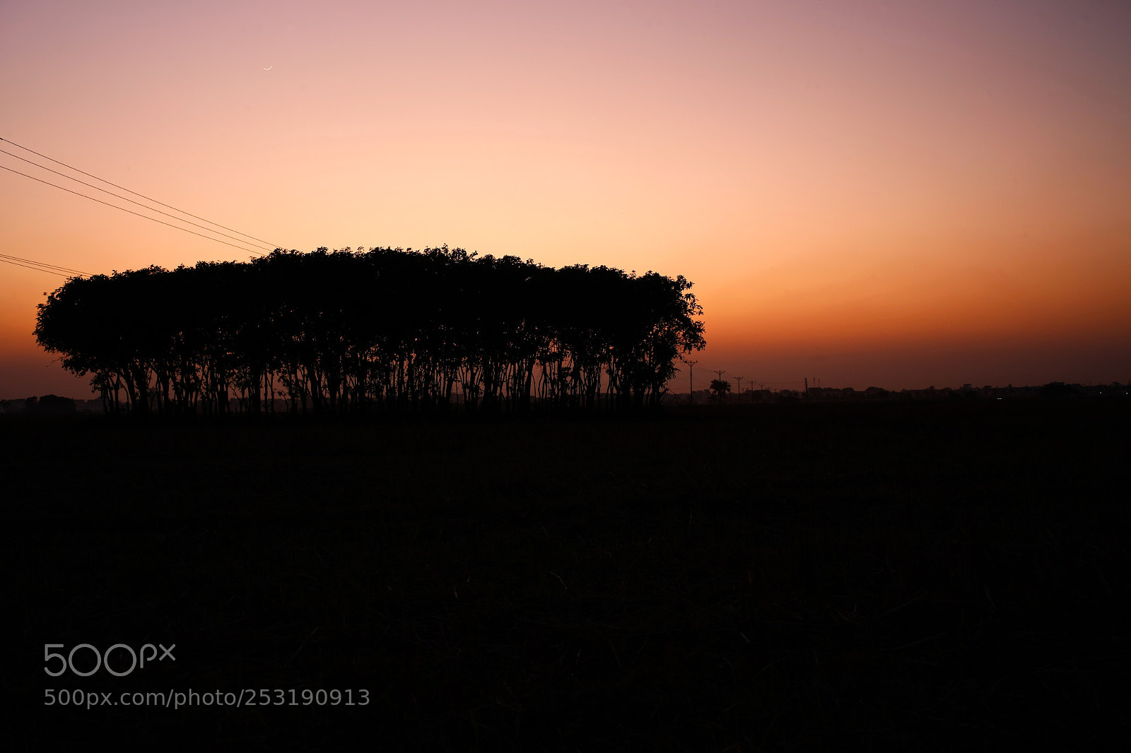Canon EOS-1Ds Mark III sample photo. Sunset 120 photography