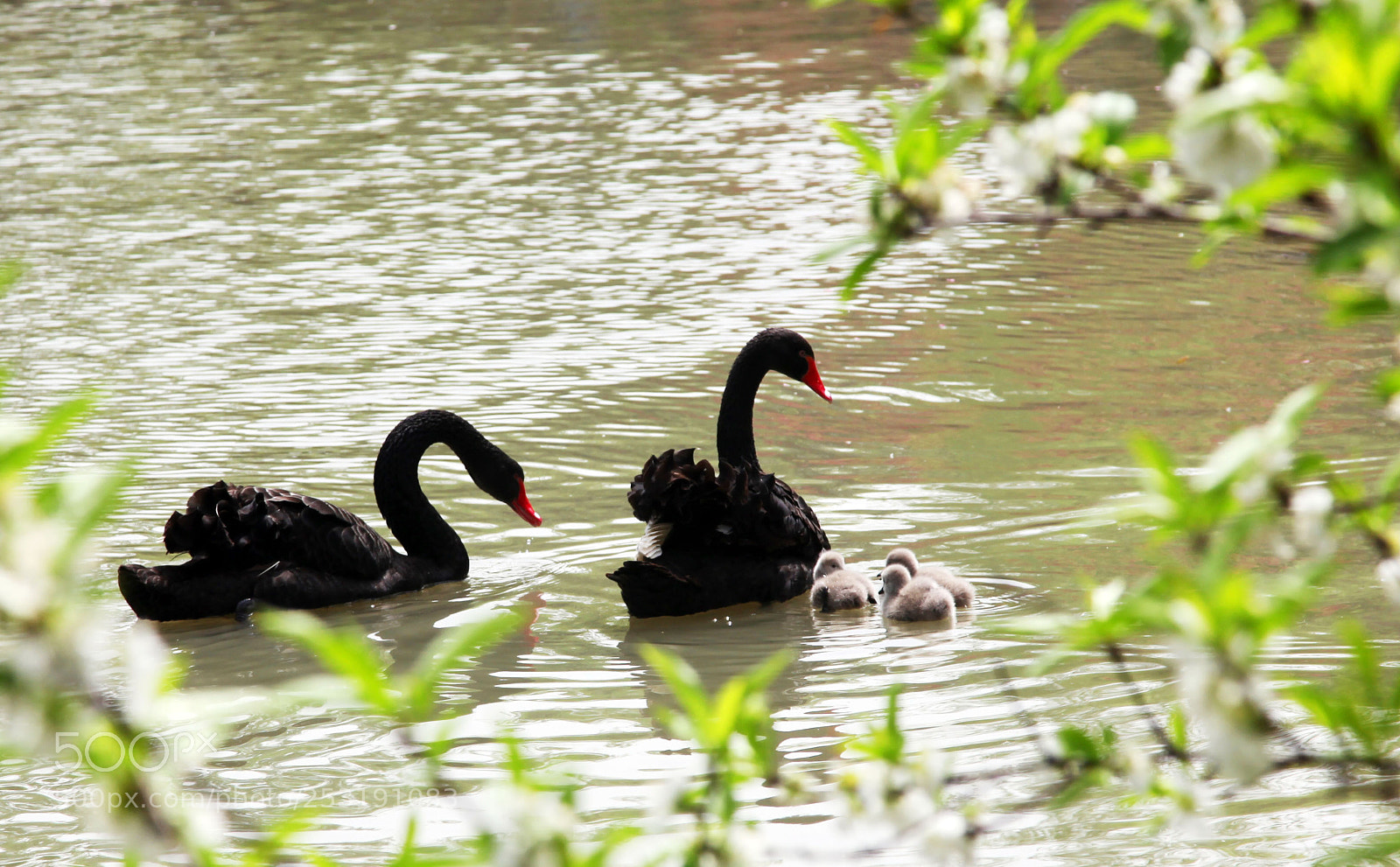 Canon EOS 5D Mark II sample photo. Untitled photography