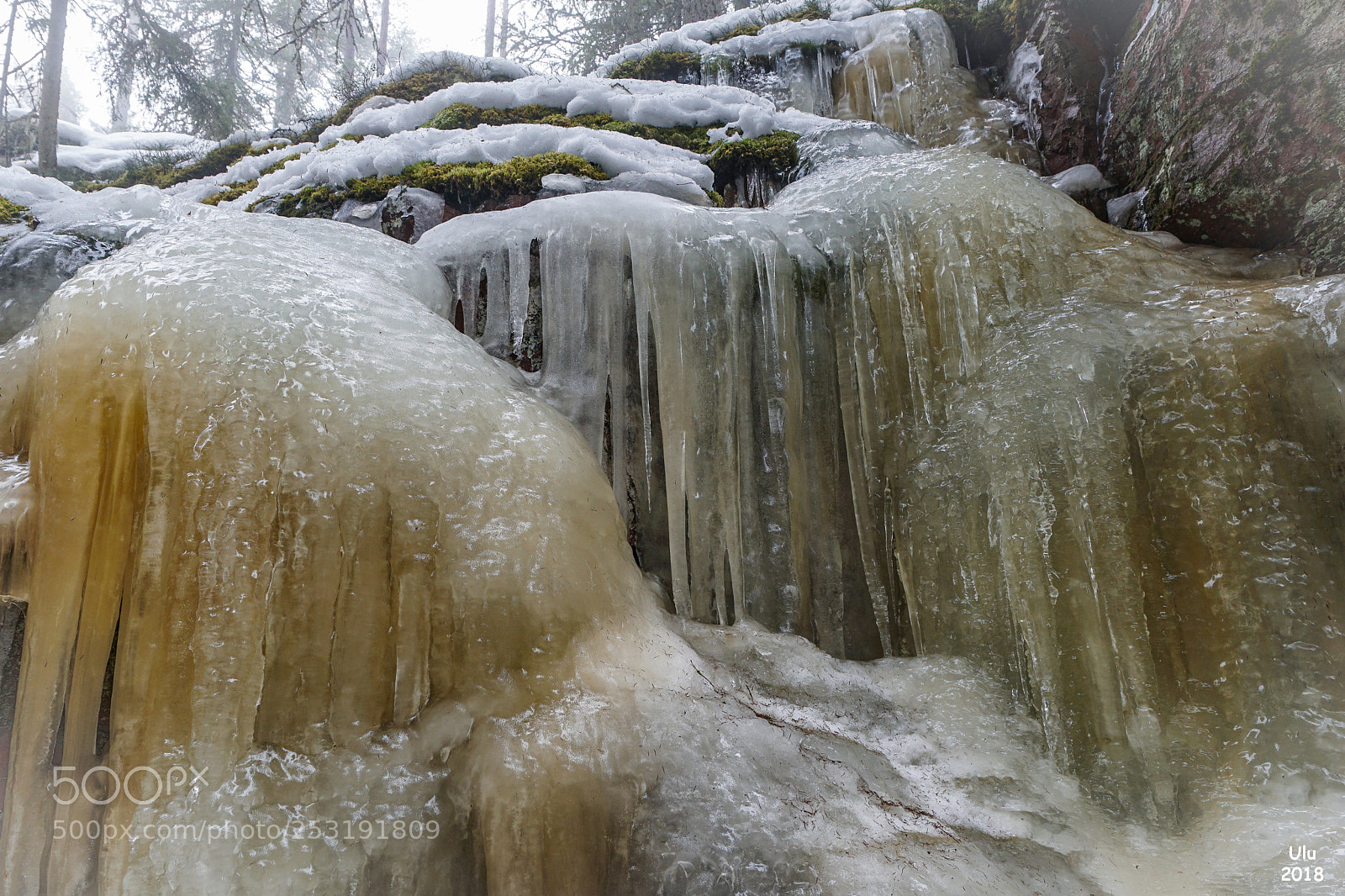 Sony a6300 sample photo. Frozen photography