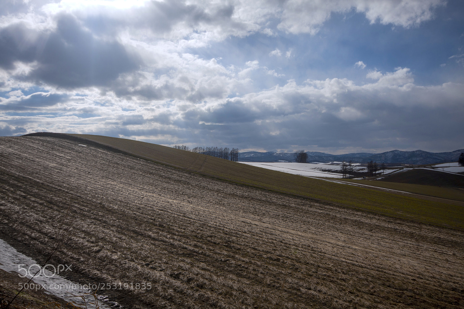 Canon EOS 40D sample photo. Horizon over land photography
