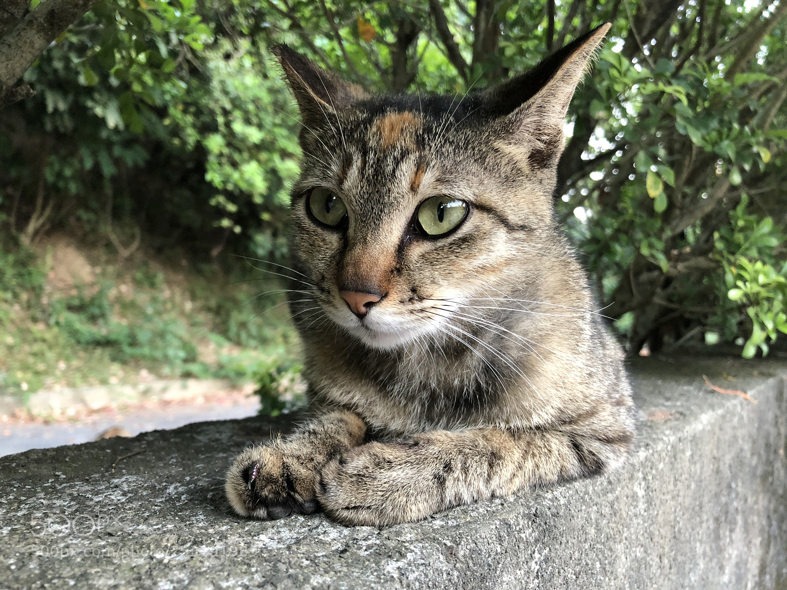 Apple iPhone X sample photo. Untitled photography