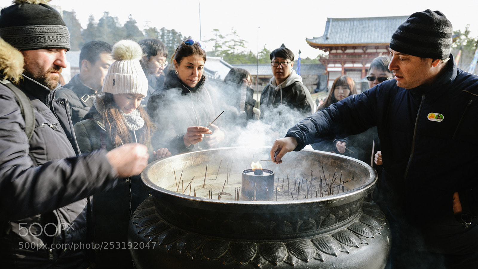 Nikon D800 sample photo. Untitled photography