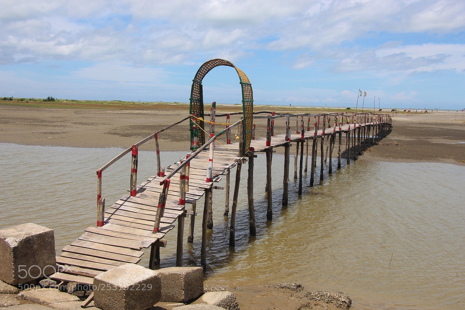Canon EOS 700D (EOS Rebel T5i / EOS Kiss X7i) sample photo. Bridge photography