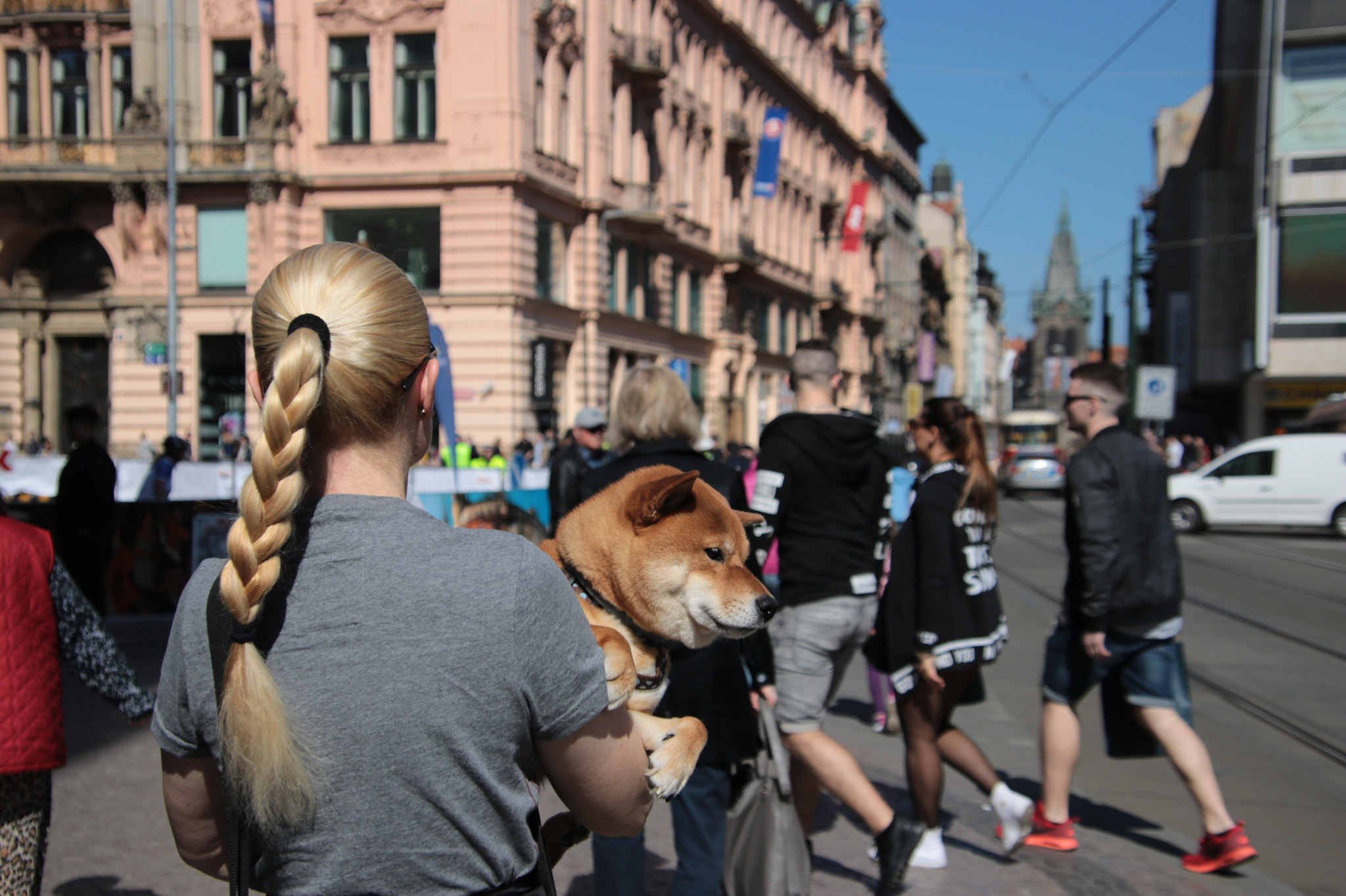 Canon EOS 80D + Canon EF 300mm F2.8L IS II USM sample photo. Prague / praha - april 2018 photography