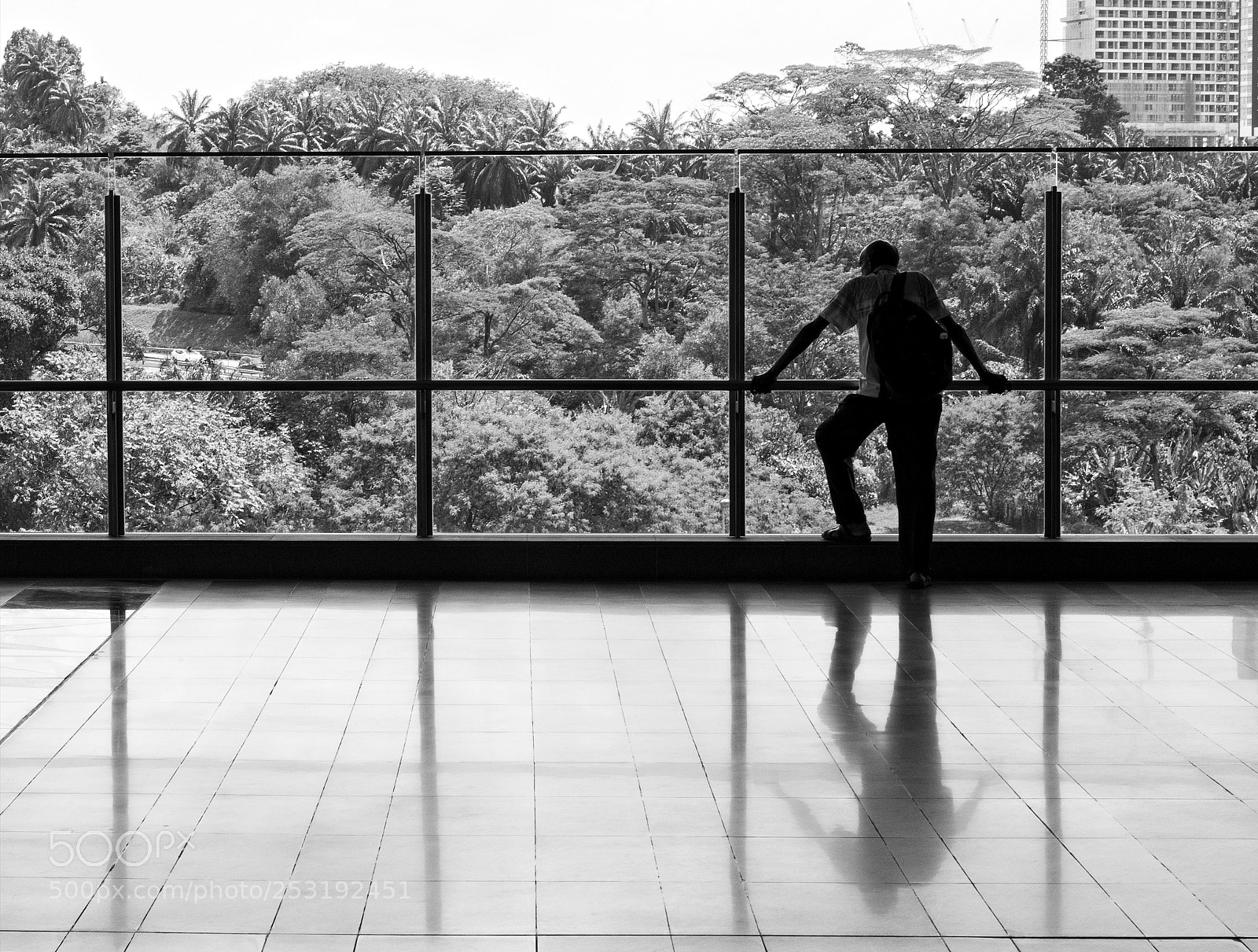 Nikon D90 sample photo. Waiting photography