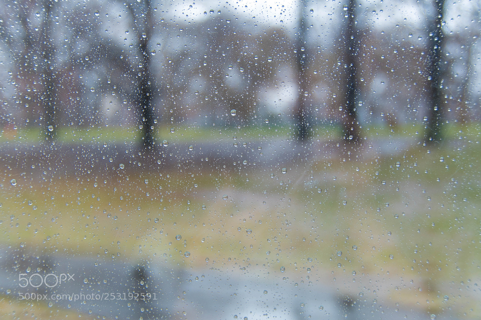 Nikon D7500 sample photo. Central park  photography