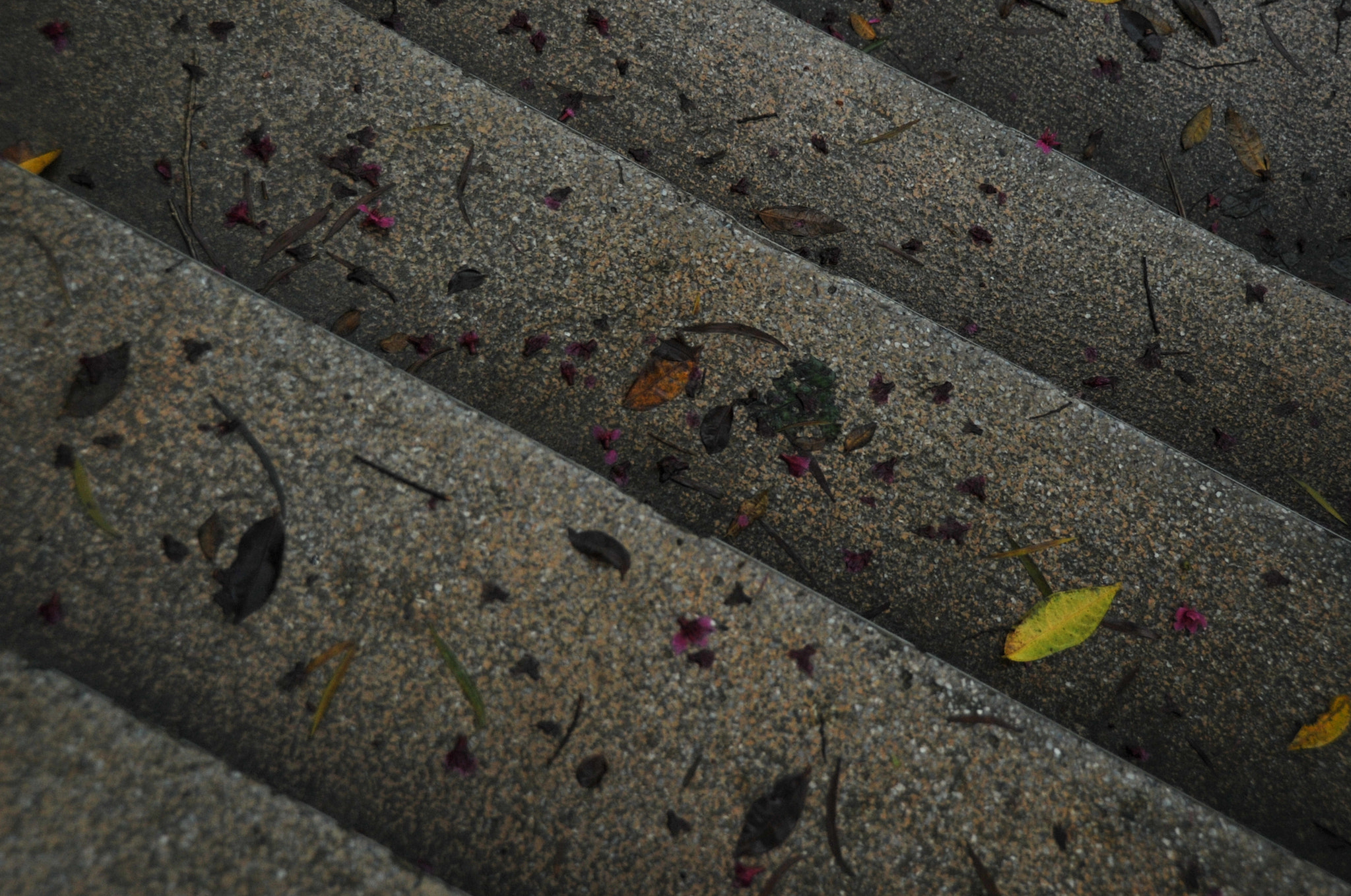Nikon D3S sample photo. .. photography