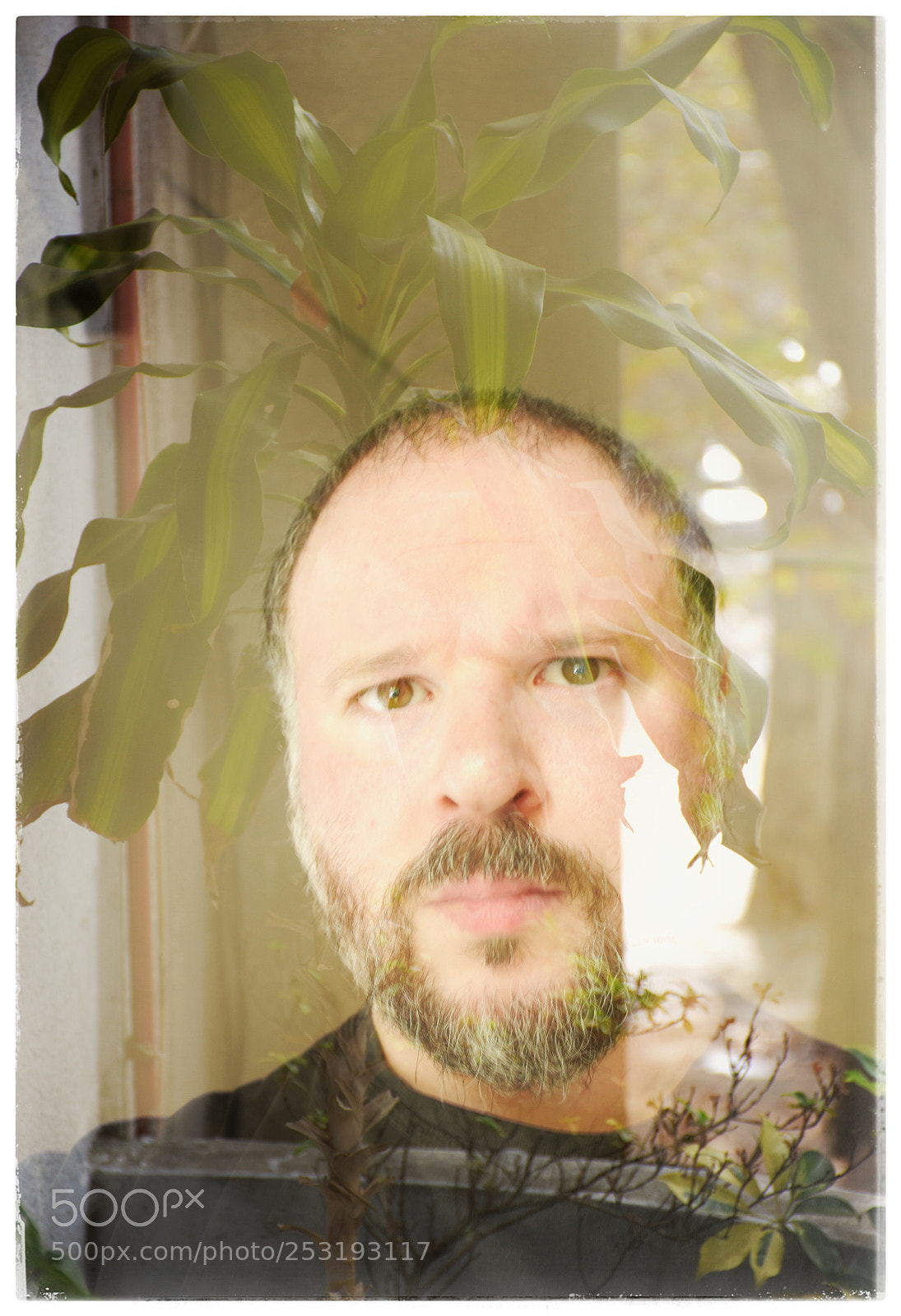 Nikon D7200 sample photo. Green portrait  photography