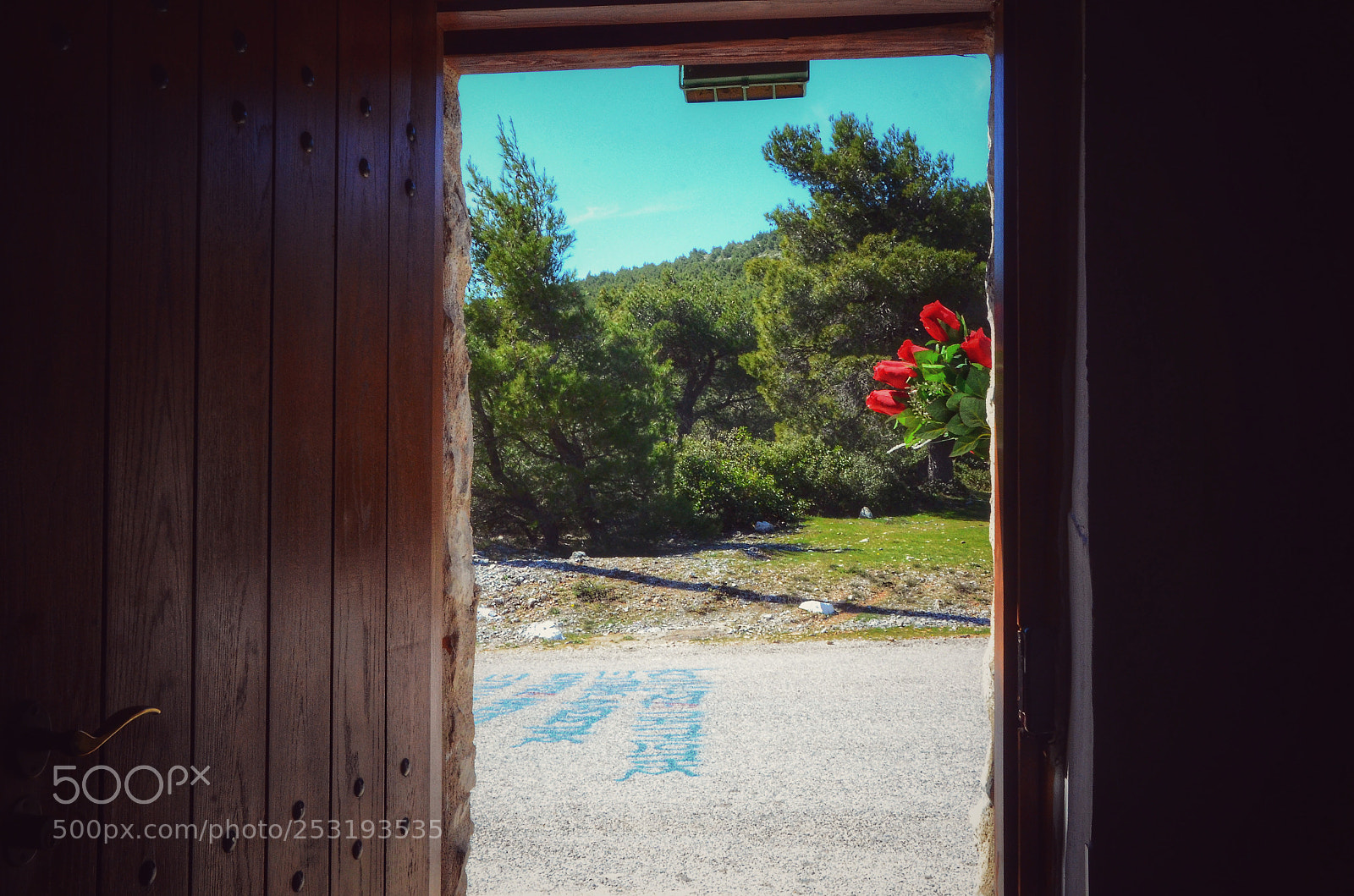 Nikon D7000 sample photo. Untitled photography