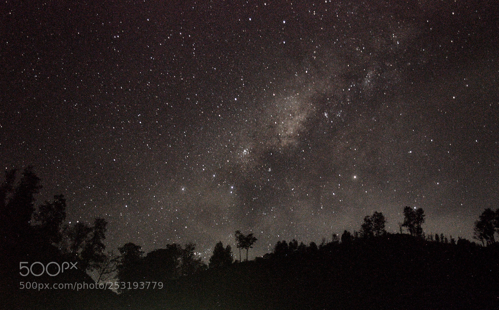 Nikon D3200 sample photo. Starry night photography