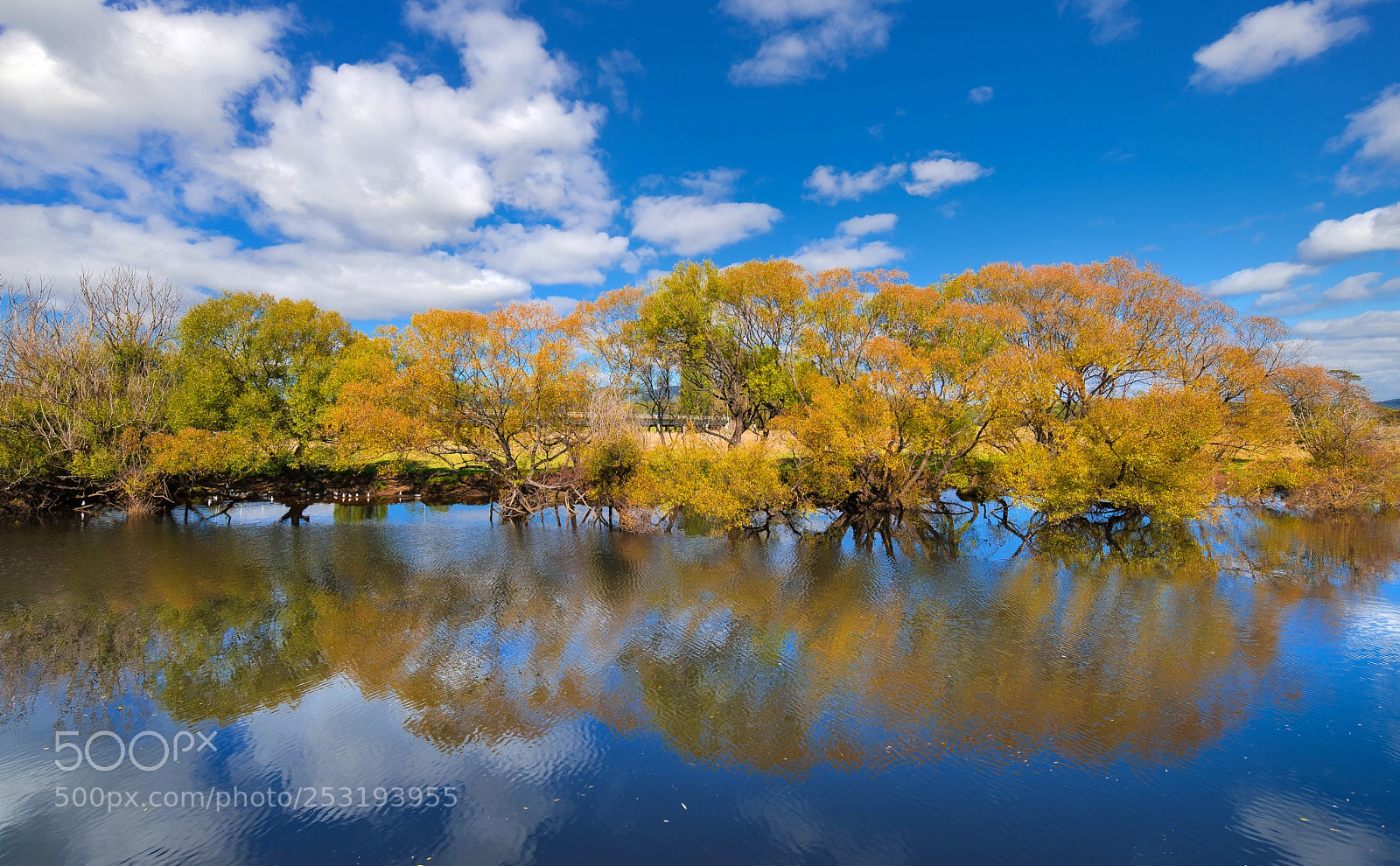 Nikon D850 sample photo. River photography