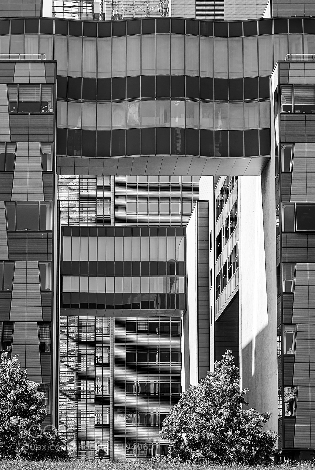 Sony Alpha DSLR-A100 sample photo. ...connections photography
